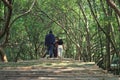 people walking on bamboo path at mangrove forest