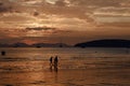 People walking at the beach on beautiful summer sunset Royalty Free Stock Photo