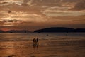 People walking at the beach on beautiful summer sunset Royalty Free Stock Photo