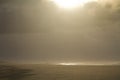 People walking on beach in golden, hazy light of sunset