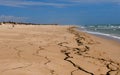 People On Beach On Ilha De Culatra Portugal