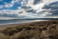 People walking the beach with long yellow grass Royalty Free Stock Photo