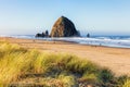 Beach grass near haystack rock Royalty Free Stock Photo