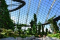 Cloud Walk and Treetop Walk in Cloud Forest Dome, Gardens by the Bay, Singapore, Asia