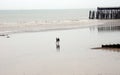 People walking on the big beach