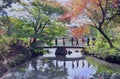 People walking on the bridge in traditional japanese public garden in Tokyo. Royalty Free Stock Photo