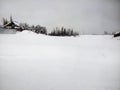 Beautiful white field with trees