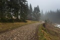 People walking in the Chocholowska Valley. Chocholowska Valley, Tatra Mountains, Poland