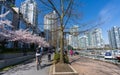 People walking and cycling on downtown seawall in springtime. Vancouver city, BC, Canada