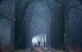 People walking dog in sandy path in foggy forest. Royalty Free Stock Photo