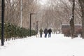 People walking with dogs in snowstorm. Winter in the park. Frozen alley in snow, Kyiv, Ukraine. Cold snowy weather. Royalty Free Stock Photo