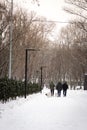 People walking with dogs in snowstorm. Winter in the park. Frozen alley in snow, Kyiv, Ukraine. Cold snowy weather. Royalty Free Stock Photo