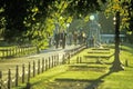 People Walking Down a Sidewalk, Boston, Massachusetts