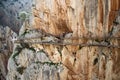 People walking the El Caminito del Rey The King`s Little Pathway near Malage in Spain