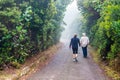 People walking in footpath thru rainforest in Costa Rica