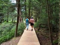 People Walking Into Forest on Boardwalk Path