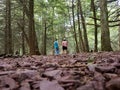 People Walking in Forest for Health