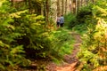 People walking on a hike path in a deep forest in table mountain