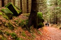 People walking on a hike path in a deep forest in table mountain Royalty Free Stock Photo