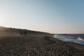 People walking on the Horsey Gap beach  by the water at sunset, Norfolk, UK Royalty Free Stock Photo