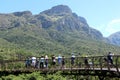 People walking on the Kirstenbosch Tree Canopy Walkway which is also called The Boomslang