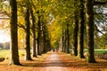 People walking on lane in autumn, Netherlands