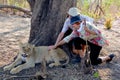 People walking with lions