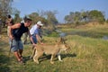 People walking with lions