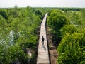 People Walking on the Mangrove bridge View from Above of Mangrove Forest Conservation