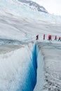 Living on the edge of a glacier Royalty Free Stock Photo