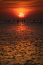 People walking on the mudflap beach in the sunset off Buesum. Royalty Free Stock Photo