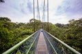 People Walking over the forest through a tree top walk in Singapore