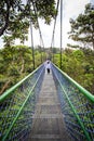 People Walking over the forest through a tree top walk in Singapore Royalty Free Stock Photo