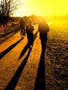 People walking on a path in a park casting long shadows in the intense and glowing bright low sunshine. Royalty Free Stock Photo