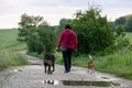 People walking and playing with the dogs on meadow or in the park during winter. Royalty Free Stock Photo