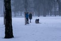 People walking and playing with the dogs on meadow or in the park during winter. Royalty Free Stock Photo