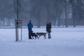 People walking and playing with the dogs on meadow or in the park during winter. Royalty Free Stock Photo