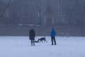 People walking and playing with the dogs on meadow or in the park during winter. Royalty Free Stock Photo