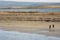 People walking on a sand. Dog bay beach county Galway, Ireland. Blue cloudy sky. Outdoor activity. Stunning Irish nature Royalty Free Stock Photo