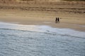 People walking on a sand. Dog bay beach county Galway, Ireland. Blue cloudy sky. Outdoor activity. Stunning Irish nature Royalty Free Stock Photo