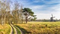 People walking the sand path in the nature reserve of Oudemolen Royalty Free Stock Photo