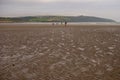 People walking on sandy beach. Family with children and a dog walking and playing on Kilbrittain beach, Ireland. enjoying the day