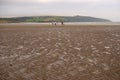 People walking on sandy beach. Family with children and a dog walking and playing on Kilbrittain beach, Ireland. enjoying the day