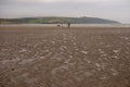 People walking on sandy beach. Family with children and a dog walking and playing on Kilbrittain beach, Ireland. enjoying the day