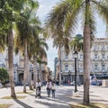 People walking in shade of palm trees in city-center park near Marti street, Havana, Cuba Royalty Free Stock Photo