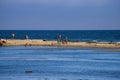 People walking and sitting on on the silky brown sand at the beach surrounded by rippling blue ocean water and birds