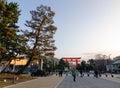 People walking on street at main park in Kyoto, Japan Royalty Free Stock Photo