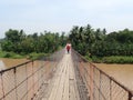 people walking on the suspension bridge over the river towards the garden, with a view of the green trees Royalty Free Stock Photo