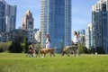 People walking with their dogs in the green park in Yaletown on a bright sunny day Royalty Free Stock Photo