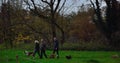 People walking their dogs on sunday Royalty Free Stock Photo